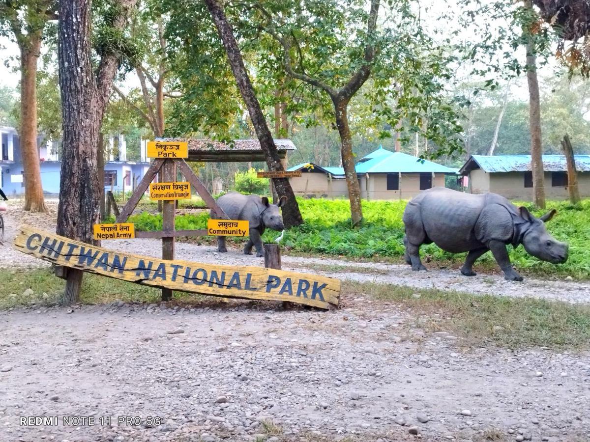 Hotel National Park Sauraha Extérieur photo